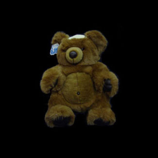 Jewish Prayer Bear